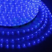 Дюралайт led, постоянное свечение (2w) - синий эконом 24 led/м , бухта 100м