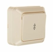 Переключатель на 2 направления 1-кл открытой установки с подсветкой IP20 10А, сл. кость "Ладога" TDM